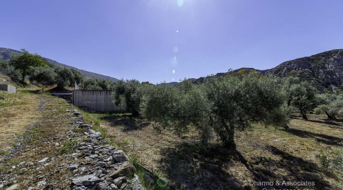 BAY 08: Finca with Nave and Alberca