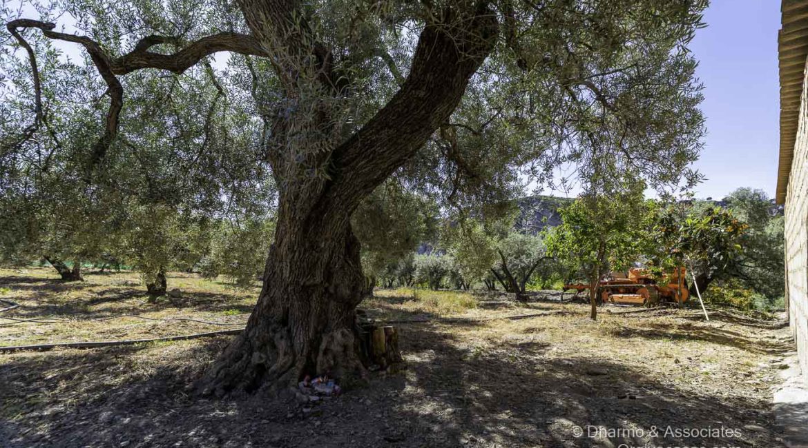 BAY 08: Finca with Nave and Alberca