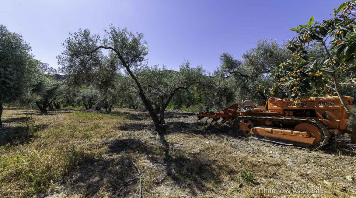 BAY 08: Finca with Nave and Alberca