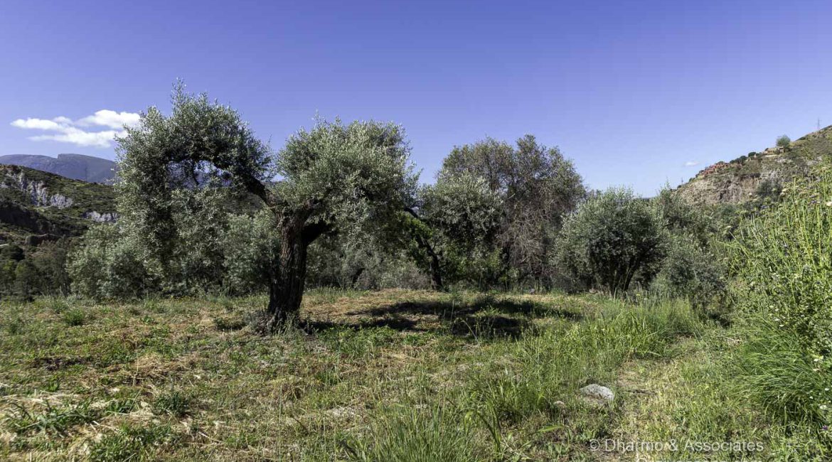 BAY 08: Finca with Nave and Alberca