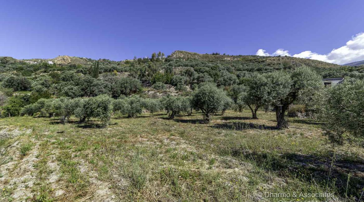 BAY 08: Finca with Nave and Alberca