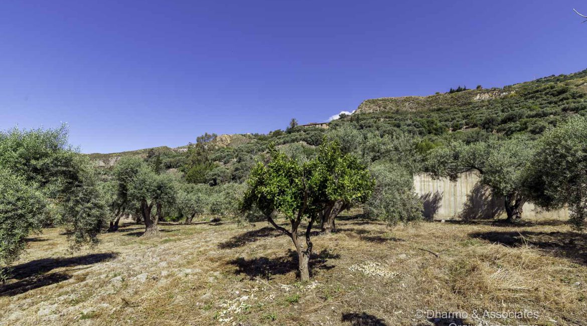 BAY 08: Finca with Nave and Alberca