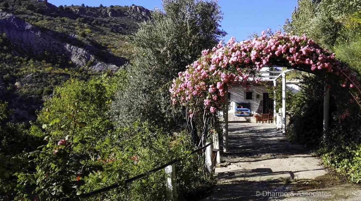 TOR 02: Cortijo with stables and Land
