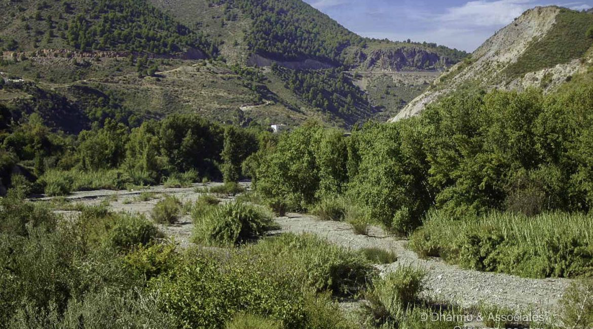TOR 02: Cortijo with stables and Land