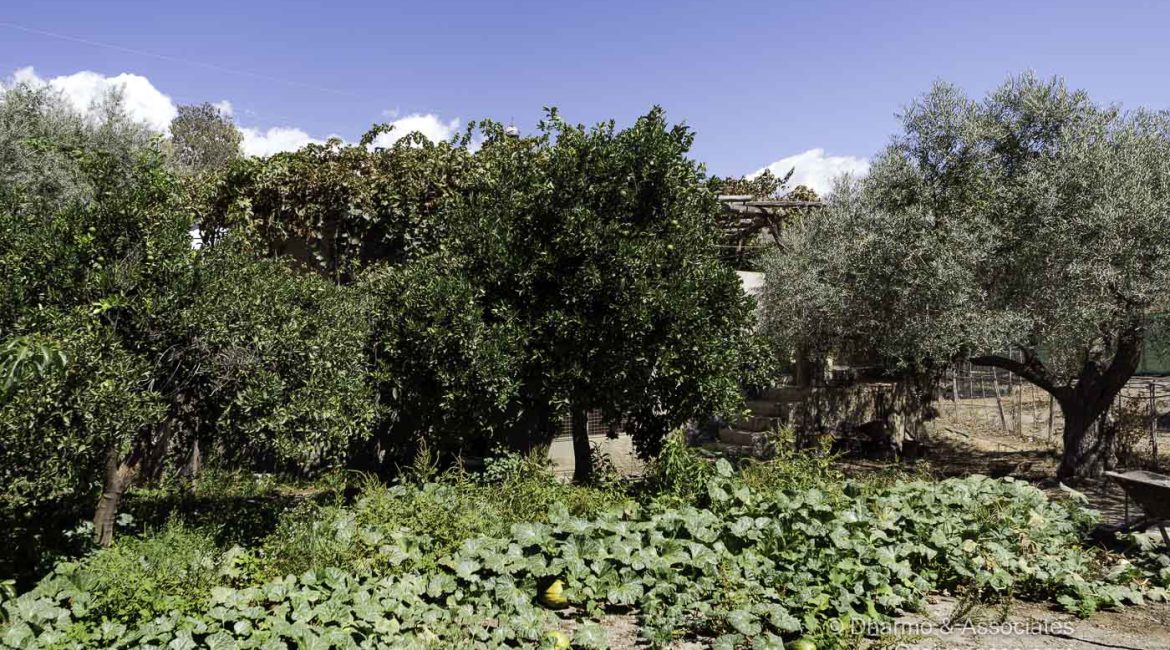 ORG 109: Two Bedroom Cortijo