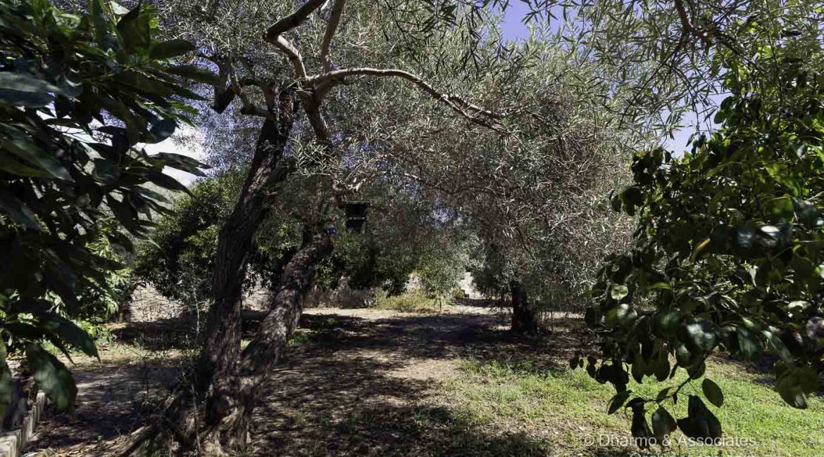 ORG 109: Two Bedroom Cortijo