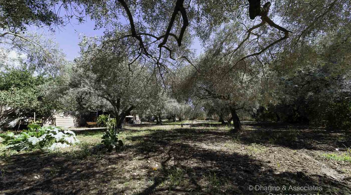 ORG 109: Two Bedroom Cortijo