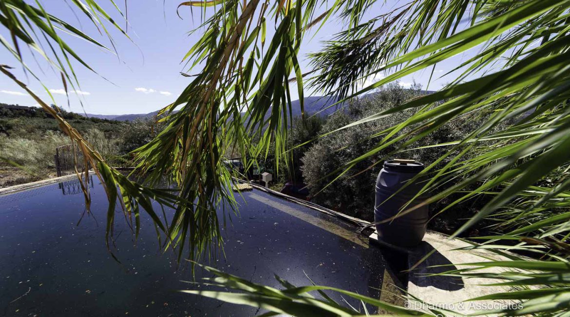 ORG 109: Two Bedroom Cortijo